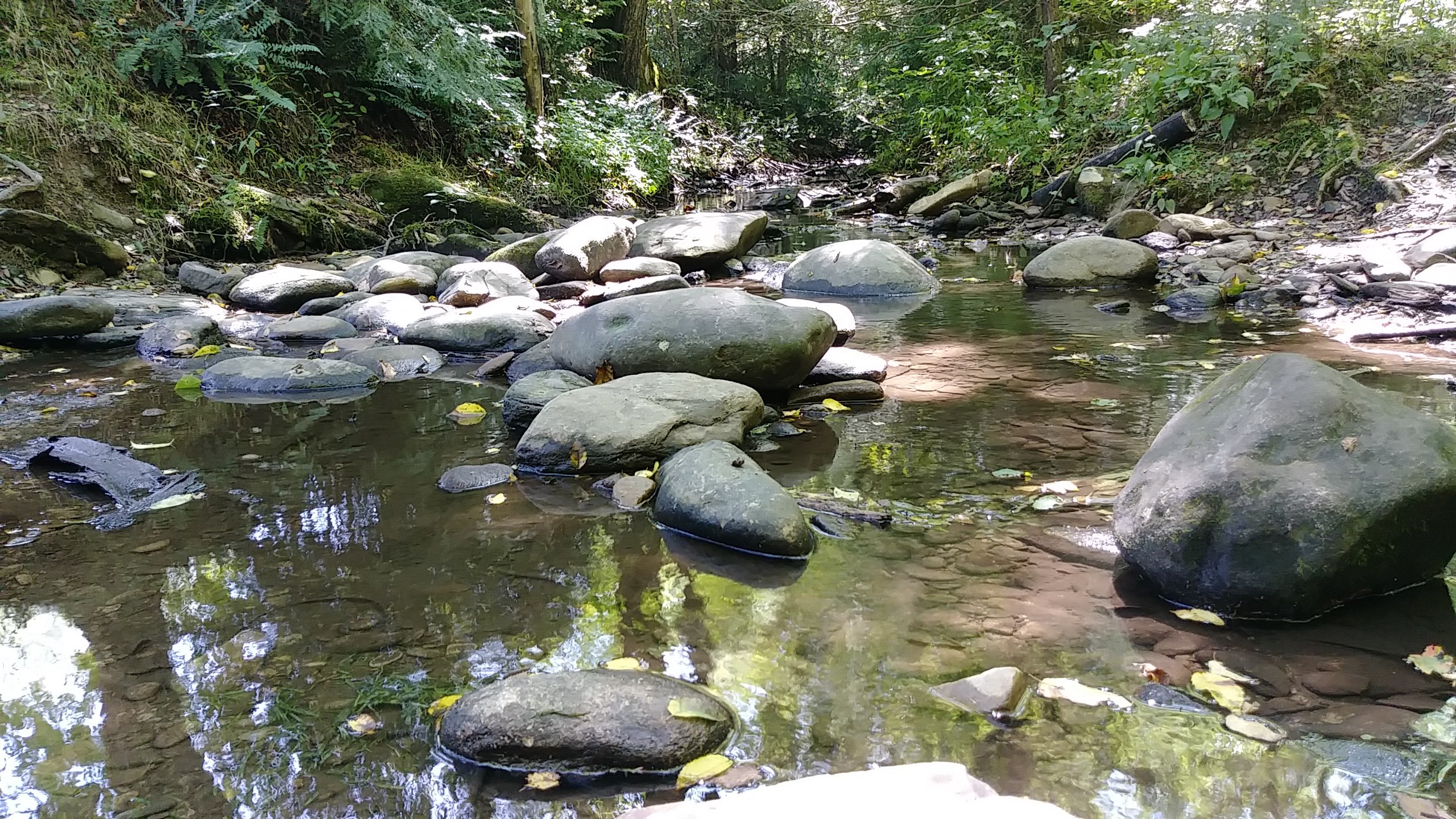 Mountain Creek Mountain Creek