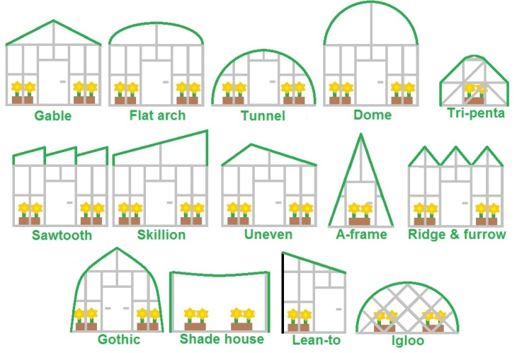 My Greenhouse Experiences pt 3 (1) My Greenhouse Experiences pt 3 (1)