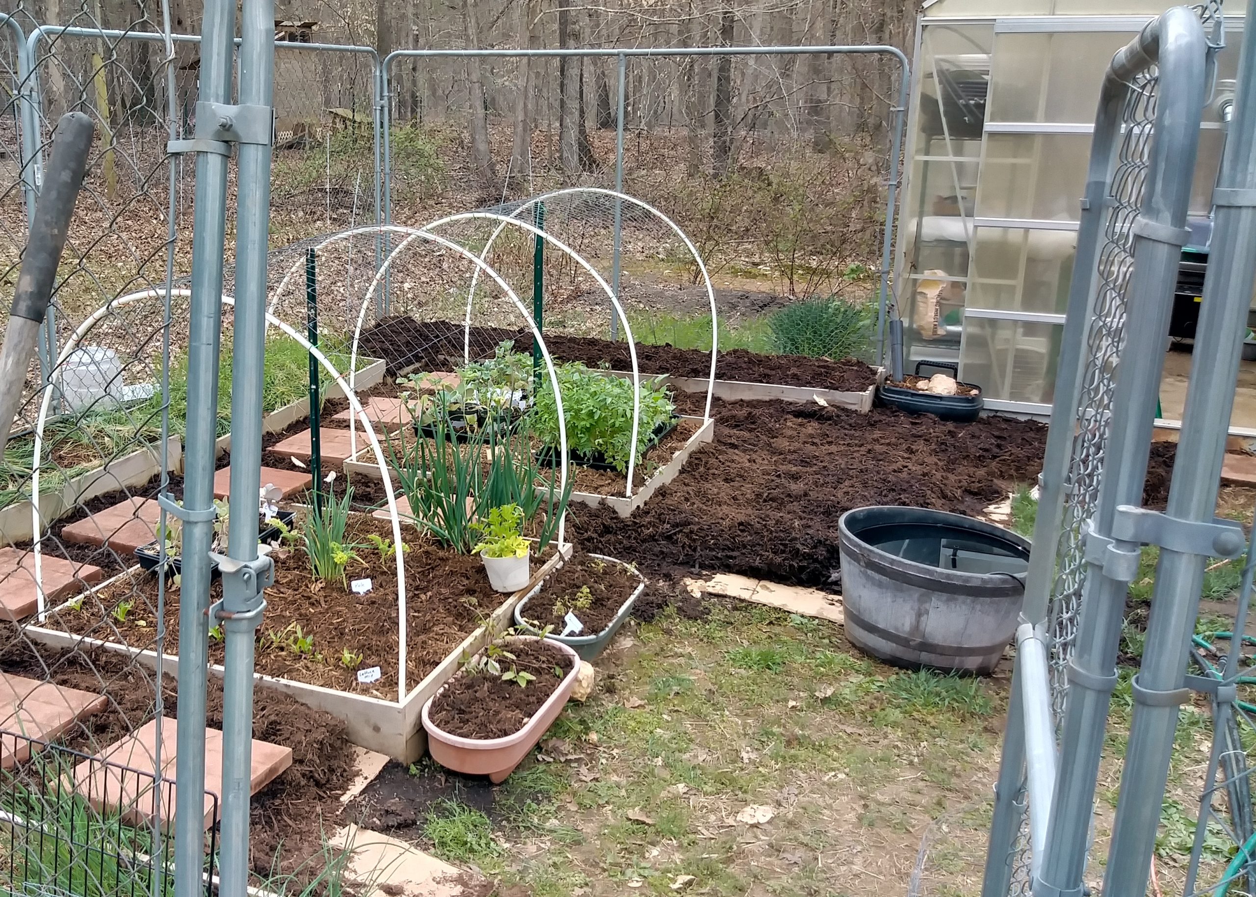 My Greenhouse Experiences pt1 My Greenhouse Experiences pt1