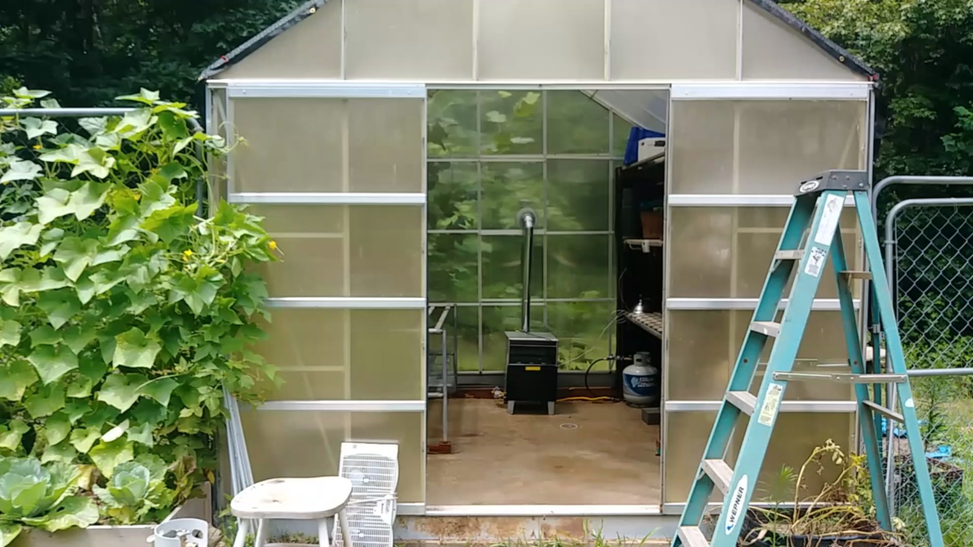 My Greenhouse Experiences pt2 My Greenhouse Experiences pt2