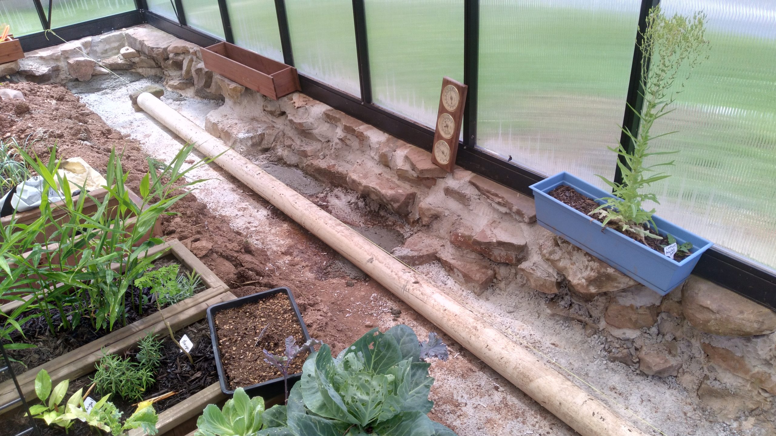 GH Raised Beds 5