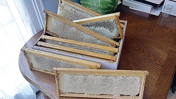 honey-Part-1 honey-Part-1