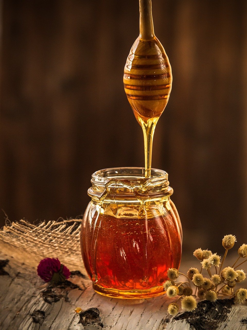 honey-g248b82ca6_1280 honey-g248b82ca6_1280